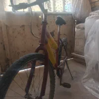 ۲ تا دوچرخه