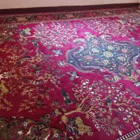 قالی