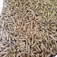 پلت یونجه خرگوش