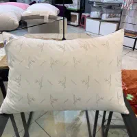 بالش زارا