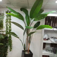 بهشتی|گل مصنوعی|کرج, گلشهر|دیوار