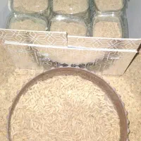 فروش ماگوت به صورت کلی و جزیی