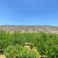 فروش-باغشهر-اقساطی