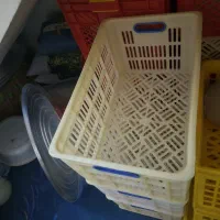 سبد|ظروف نگهدارنده، پلاستیکی، یکبارمصرف|اردبیل, |دیوار