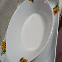 شیک وزیبا