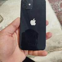 ایفون ۱۲|موبایل|خوی, |دیوار