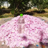 گلاب درجه یک دو آتیشه