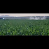 اجاره-زمین-کشاورزی-ابی