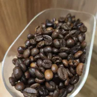 دان قهوه تازه رست شده