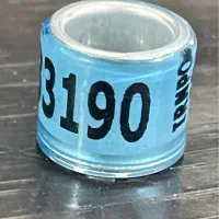 کبوتر  پلاک پرنده پلاکی