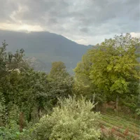 زمین اطاقور ۴۵۰ متر مسکونی  ۴۹۰۰ باغی
