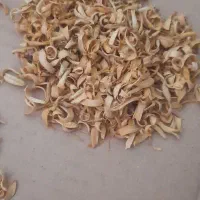 بهار نارنج
