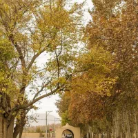 مغازه ۴۰ متری بر میدان