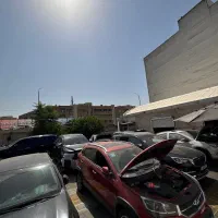 منشی خانم