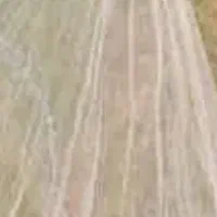 لوازم ماهیگیری
