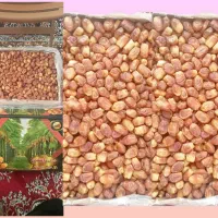 خرمای زاهدی درجه یک