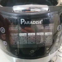 پلوپز سرخ کن پارادایس