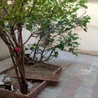 فروش-تمام-قواره