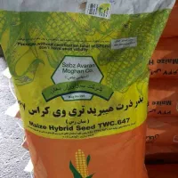 بذر ذرت علوفه ای 647