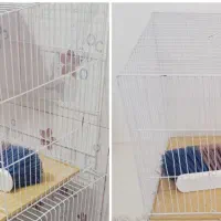 قفس پرنده