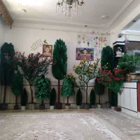 درختچه