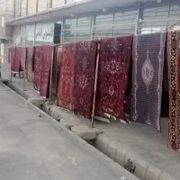 جشنواره شستشوی فرش دستبافت