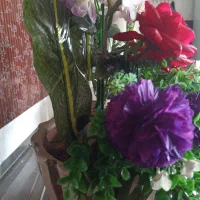 گل زیبا|گل مصنوعی|نیشابور, شهید بهشتی|دیوار