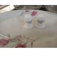 دیس گل میخک .نی شربت و