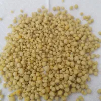 کودتریپل