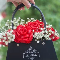 رز روبانی،مانا و زیبا
