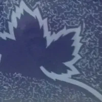 جویای کار نیمه وقت هستم در ابهر