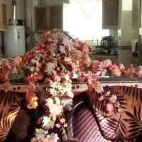 درختچه انگور با جنس خارجی با چهار عدد انگور