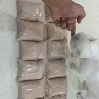 غذای خانگی گربه