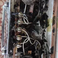 اجاق گاز طر فره