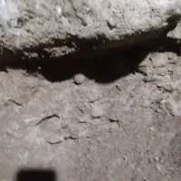 چاه کنی اوستا باقر رجنی