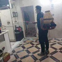 سمپاشی حشرات سوسک ساس