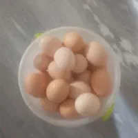 تخم مرغ
