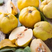 فروش مربای به تازه برای مصرف قنادی ها