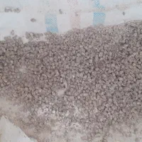 فروش خوراک دام