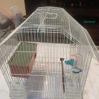 قفس پرنده بزرگ