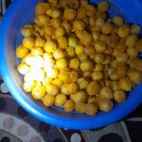فروش زرد آلو مخصوص لواشک