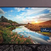 تلویزیون ۴۳ ایکس ویژن