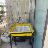 قفس بزرگ همراه با پایه