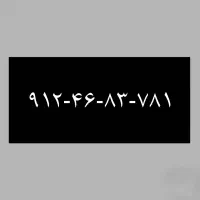 ۹۱۲-۴۶-۸۳-۷۸۱