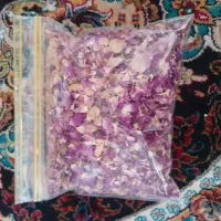 گل محمدی محلی آذربایجان