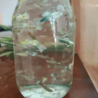 آکواریوم در ماهی