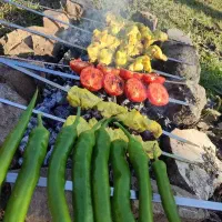 واگذاری تهیه غذا با سابقه بالا