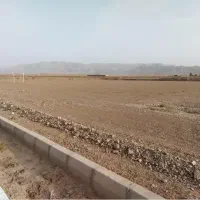 زمین در کوی ثمین ۳