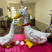 سفارش غاز مهربون