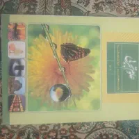 علوم تجربی هشتم
